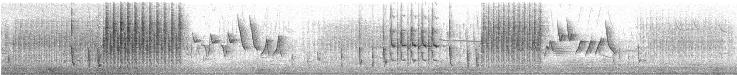 Sumpfzaunkönig [plesius-Gruppe] - ML594861521