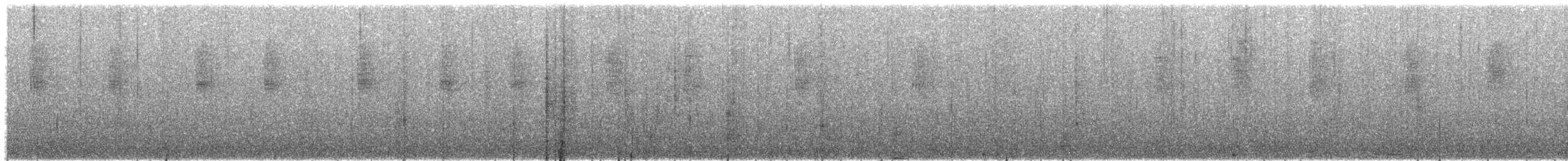 Speckled Hummingbird - ML594873671