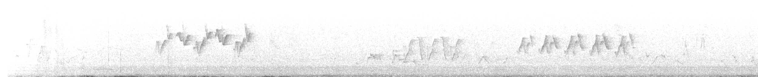 Вівчарик рододендровий - ML594874901