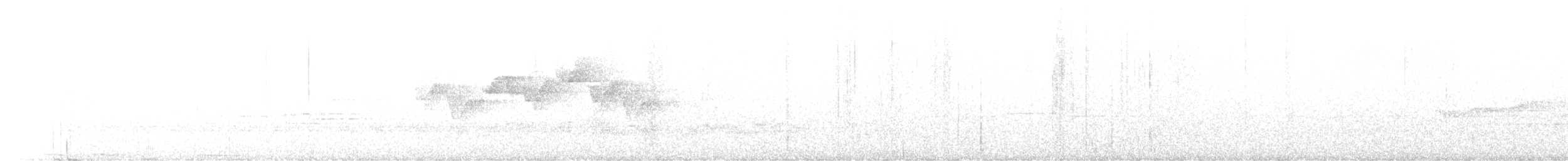White-tailed Robin - ML594880371