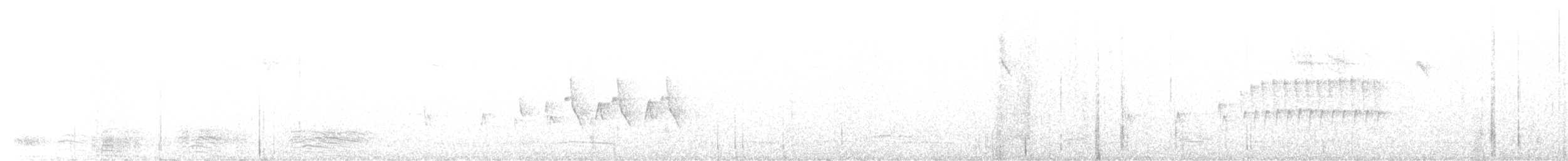 gråkronesanger - ML594884381