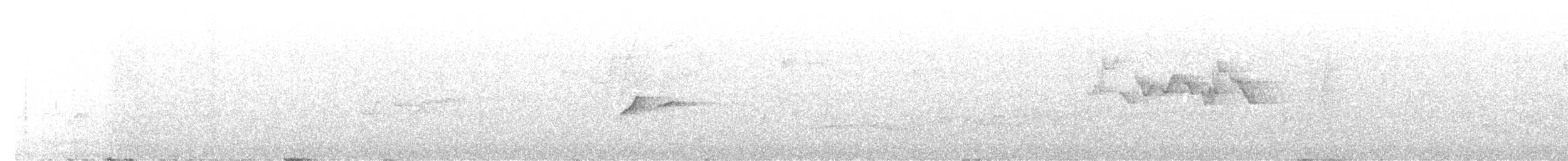 Mosquitero de Ogilvie-Grant - ML594885841