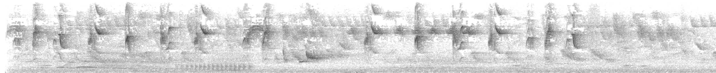 ミズベハチドリ - ML594889311