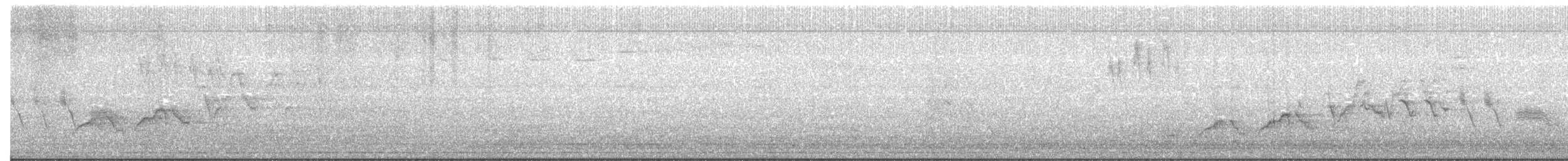 Дрізд-короткодзьоб Cвенсона - ML59490021