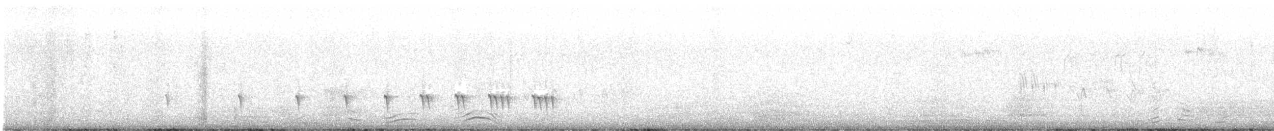 Chaparralgrasmücke - ML594903691