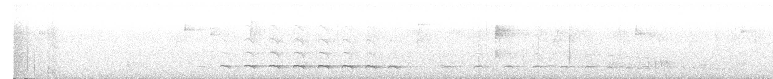 Weißbart-Ameisenwürger - ML594906511