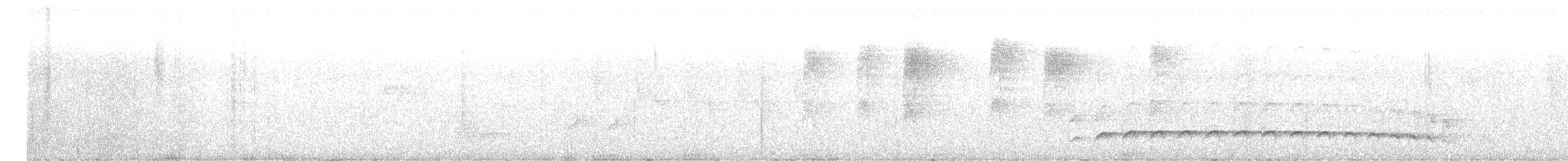 Fleckenbrust-Ameisenvogel - ML594907021