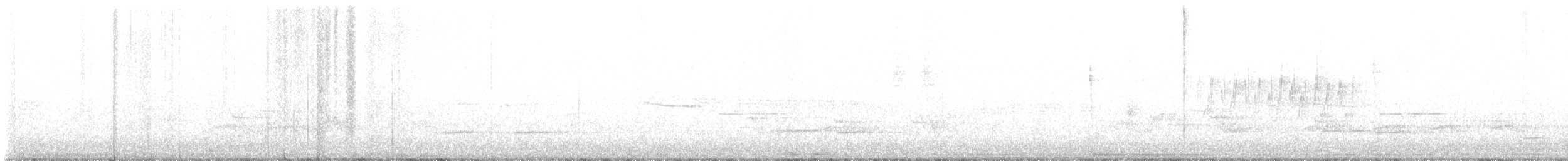 Cisne Trompetero - ML594910451