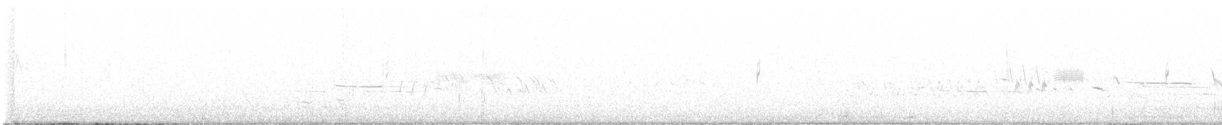 Пестрогрудая овсянка [группа schistacea] - ML594911821