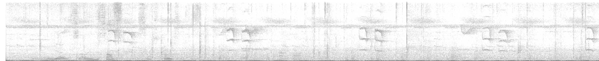 Weißflanken-Ameisenschlüpfer - ML594931781