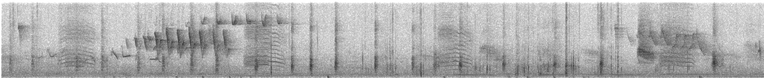 Paruline à calotte noire - ML59494821