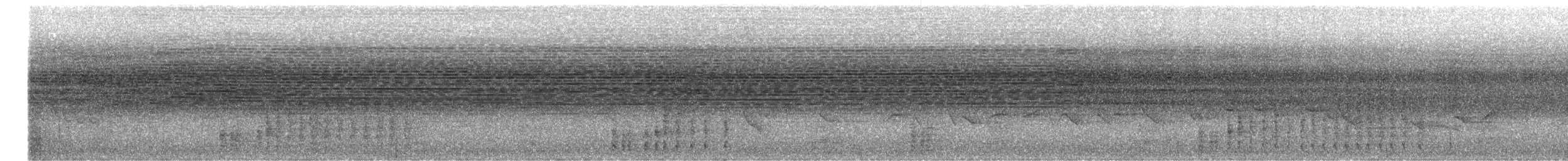 Поплітник амазонійський - ML594950121