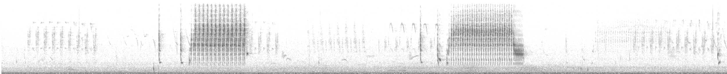 Troglodyte des marais - ML594972051