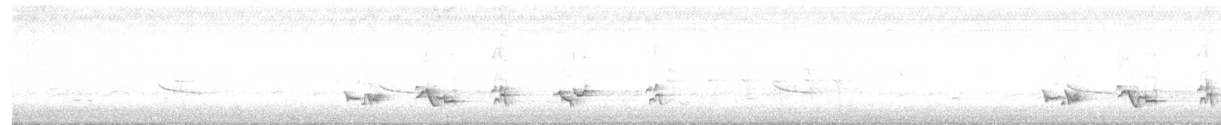 American Robin - ML594988591