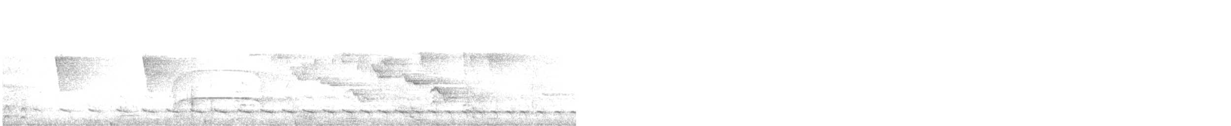 White-tailed Trogon - ML595004261