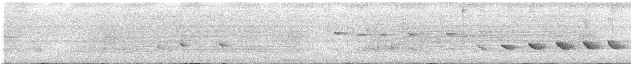 Nacktstirn-Ameisenvogel - ML595018131