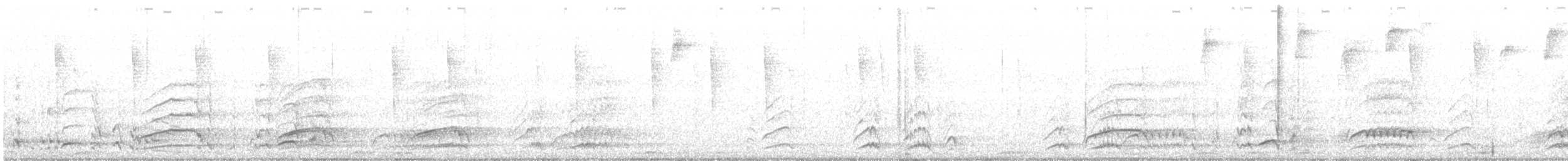 White-necked Crow - ML595034271