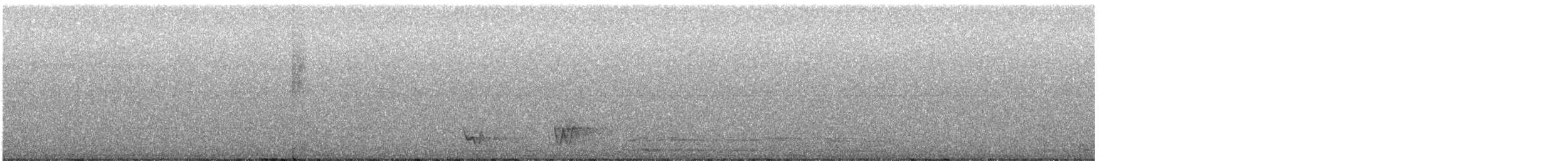 Belizenachtschwalbe - ML595064001