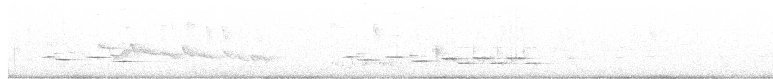 nymfefluesnapper/apsarafluesnapper - ML59509011
