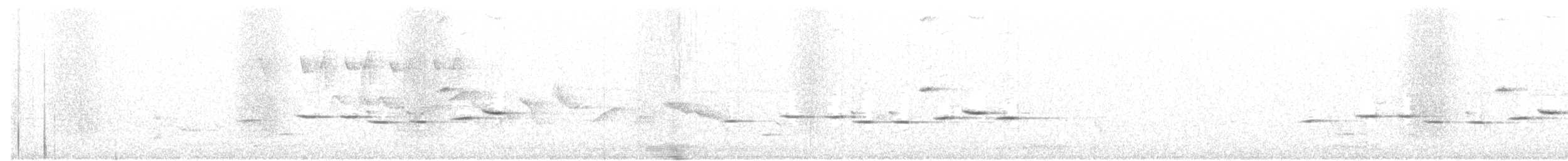 nymfefluesnapper/apsarafluesnapper - ML59509091