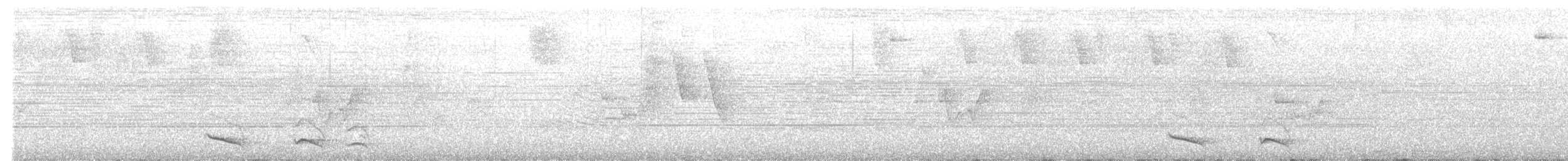 Ошейниковый трогон - ML595095291