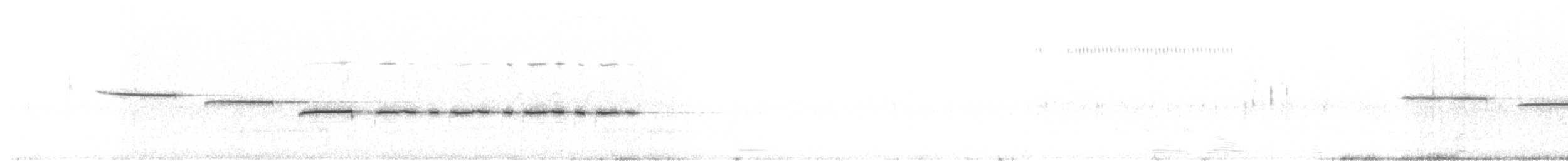 Белогорлая зонотрихия - ML595103081