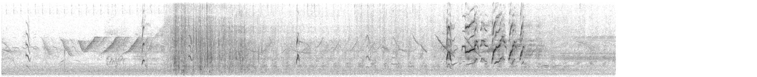 Kara Karınlı Islıkçı Ördek (fulgens) - ML595113941
