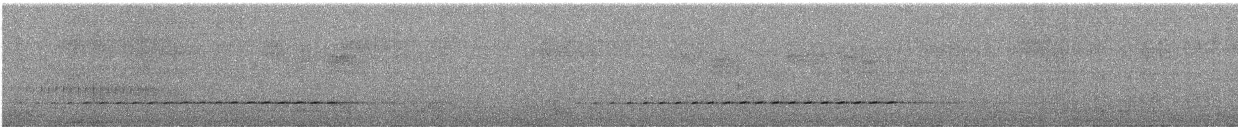 Spotted Quail-thrush - ML595149621