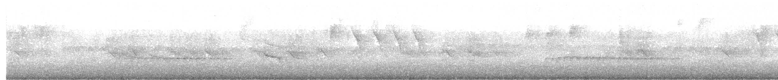 Long-billed Gnatwren - ML595192191