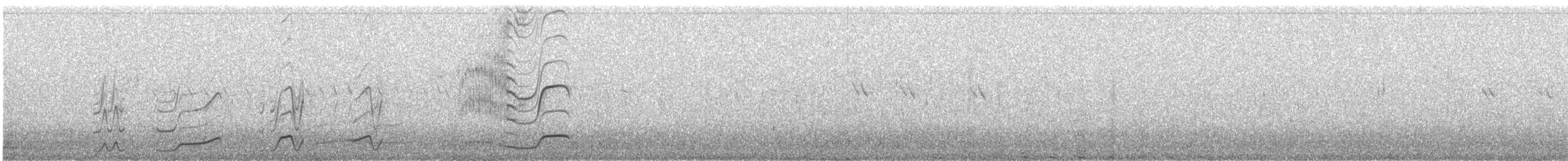 čejka chocholatá - ML59520351