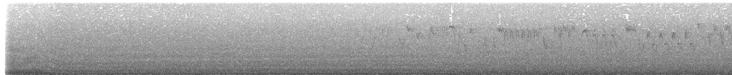 Troglodyte de Baird - ML595206501
