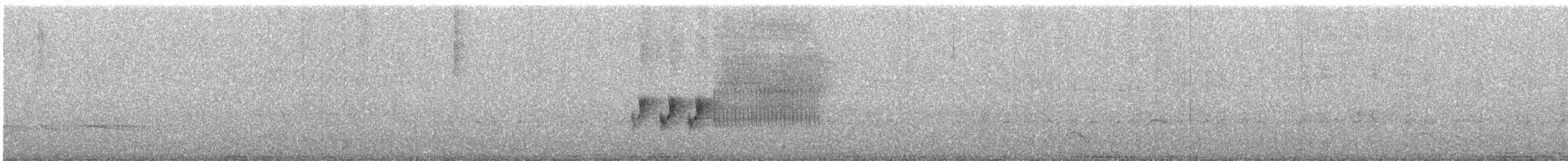 Тауї плямистий - ML595212851