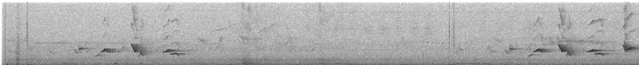 Черноголовый толстонос - ML595212931