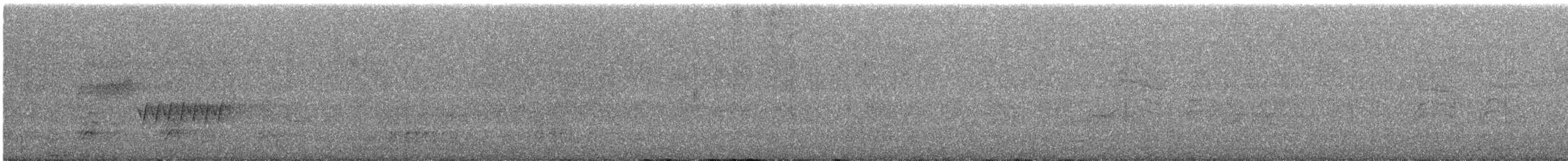Длиннохвостый крапивник - ML595217631