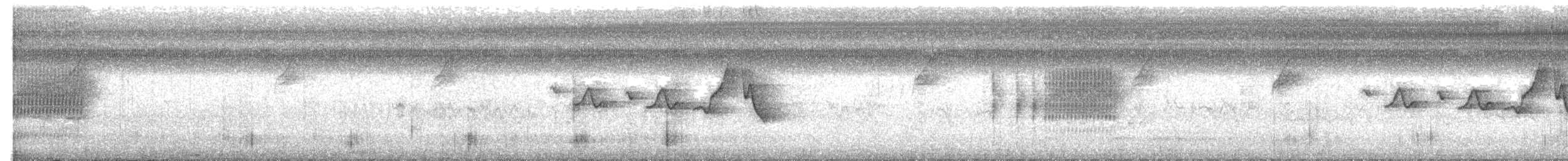Istmus Çıtkuşu - ML595224531