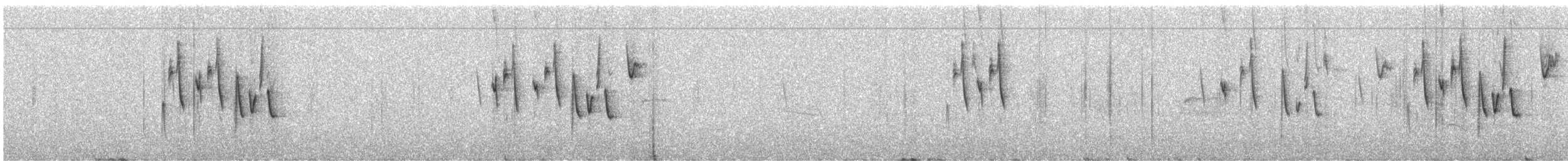 Conirostre géant - ML595259051