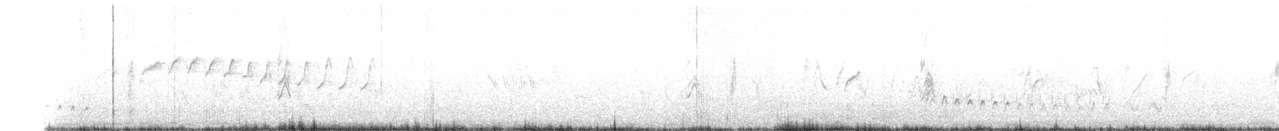 Common Babbler - ML595265181