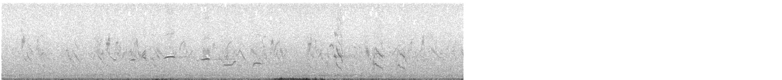 White-browed Fantail - ML595265211