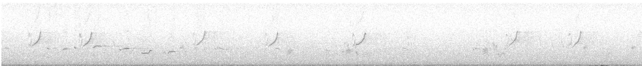 White-browed Fantail - ML595265541