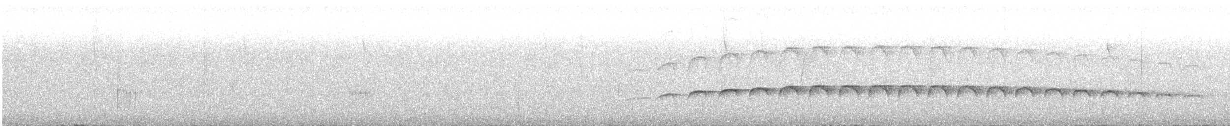 Large-tailed Antshrike - ML595282901