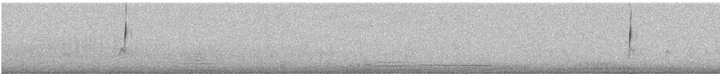 Gray-flanked Cinclodes - ML595289901