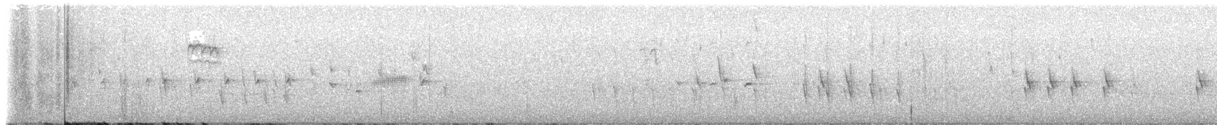 Piquituerto de Cassia - ML595317041