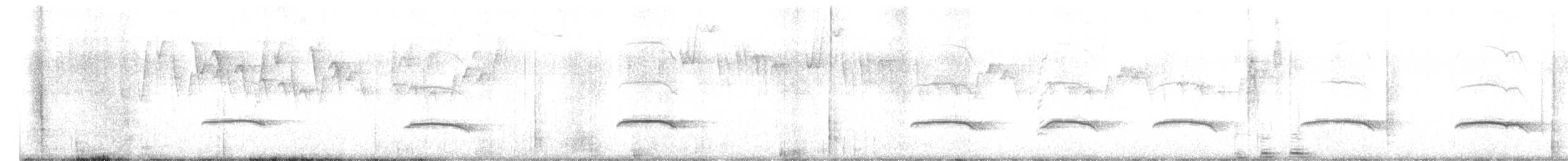 Çizgili Boğazlı Çalı Tiranı - ML595322571