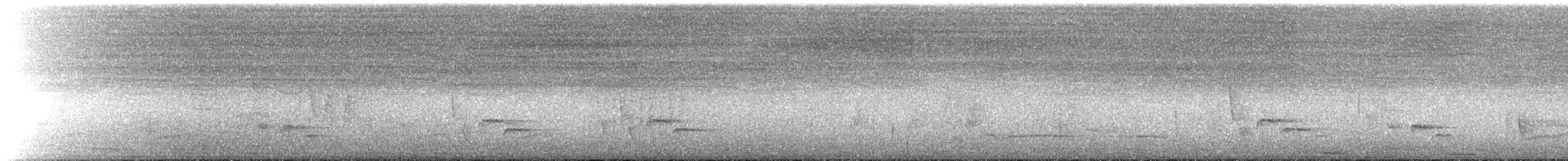 Ak Karınlı Çıtkuşu - ML595383551