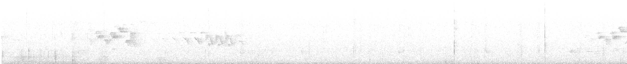 シロオビアメリカムシクイ - ML595388911