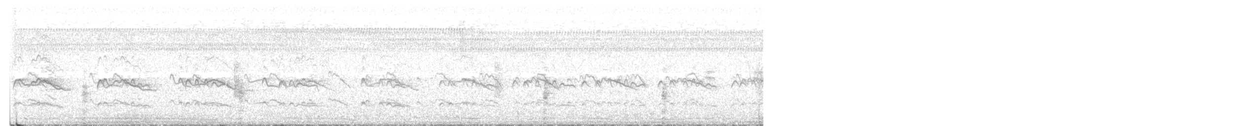 Keilschwanz-Regenpfeifer - ML595392641