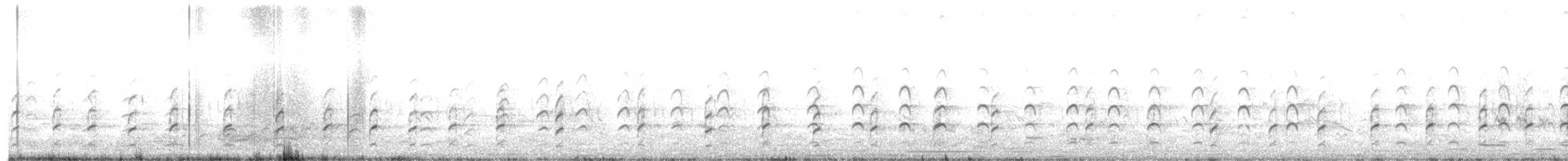 Black-winged Stilt - ML595409451