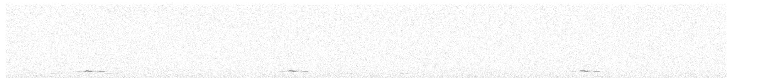 holoubek proužkokrký - ML595411711