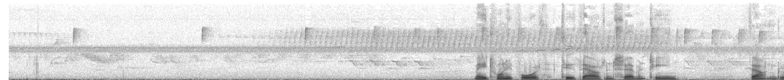 Moucherolle des saules - ML59542511