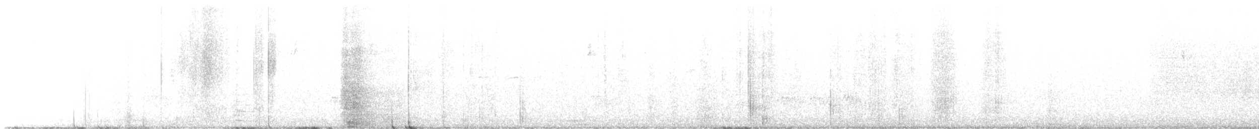 Haarspecht (orius/icastus) - ML595446761